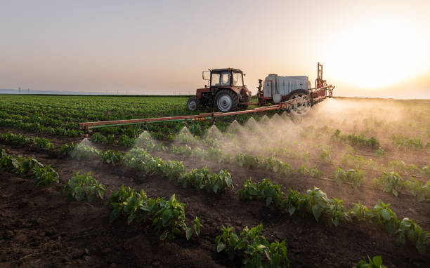 Best Best Pest Control Companies  in Weed, CA