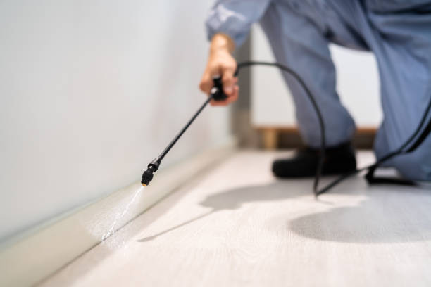 Best Pest Removal Services  in Weed, CA